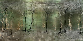 Illustration for article titled The Best Science Visualizations of the Year